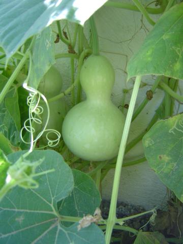 三亿体育手机版