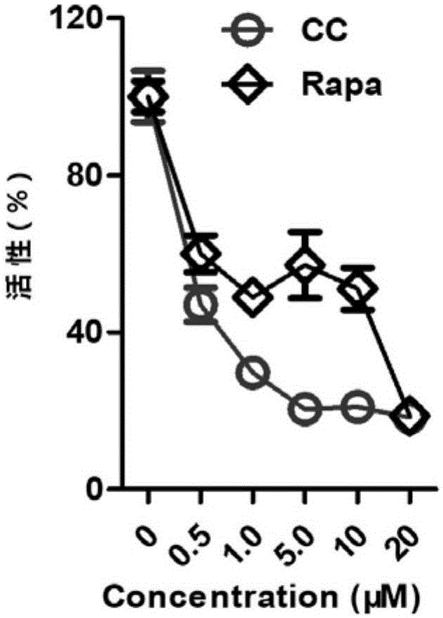 三亿体育手机版