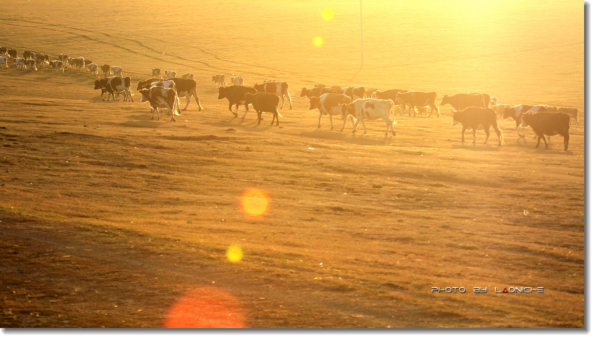 青羊特校组织全体党员教师开展主题固定党日活动【三亿体育手机版】(图4) 三亿体育