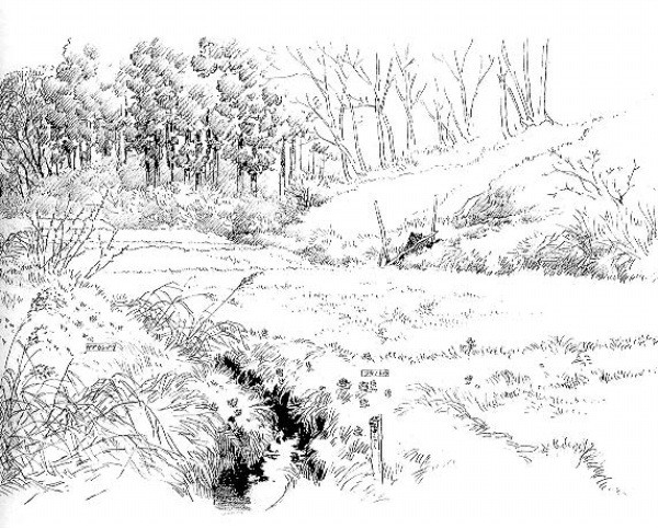 【三亿体育】住建部建设16个海绵城市(图1) 三亿体育官网