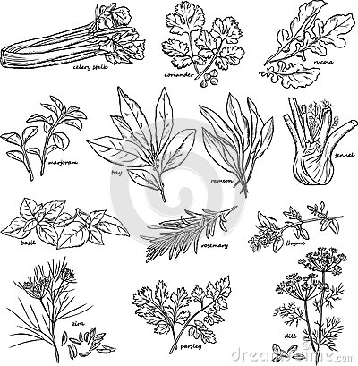 ‘三亿体育手机版’法国Jean-JacquesBosc大桥获胜方案(图1) 三亿体育官网