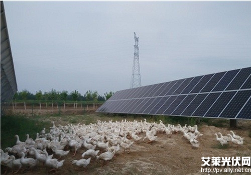 彭州市南街幼儿园召开安保人员培训会【三亿体育】(图4) 三亿体育手机版