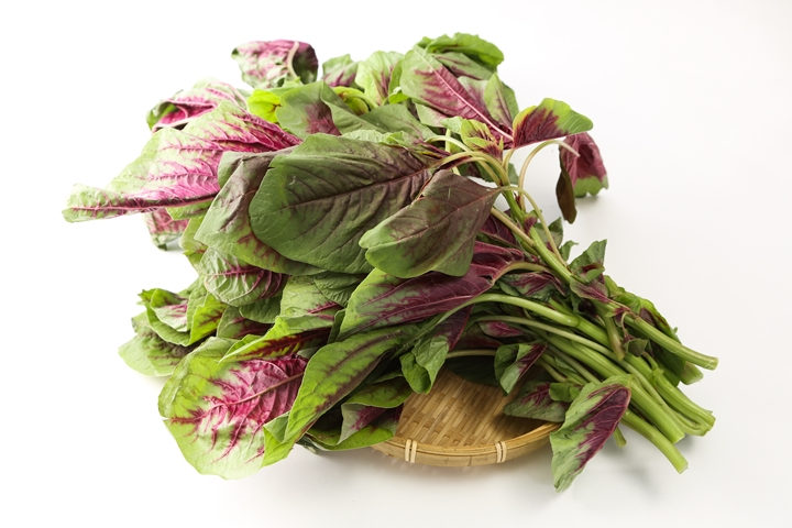 三亿体育手机版