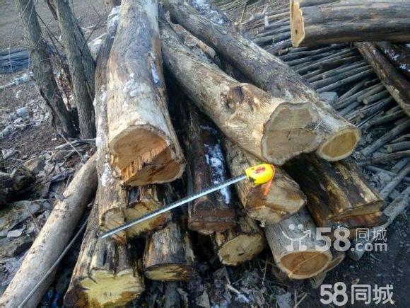 三亿体育手机版